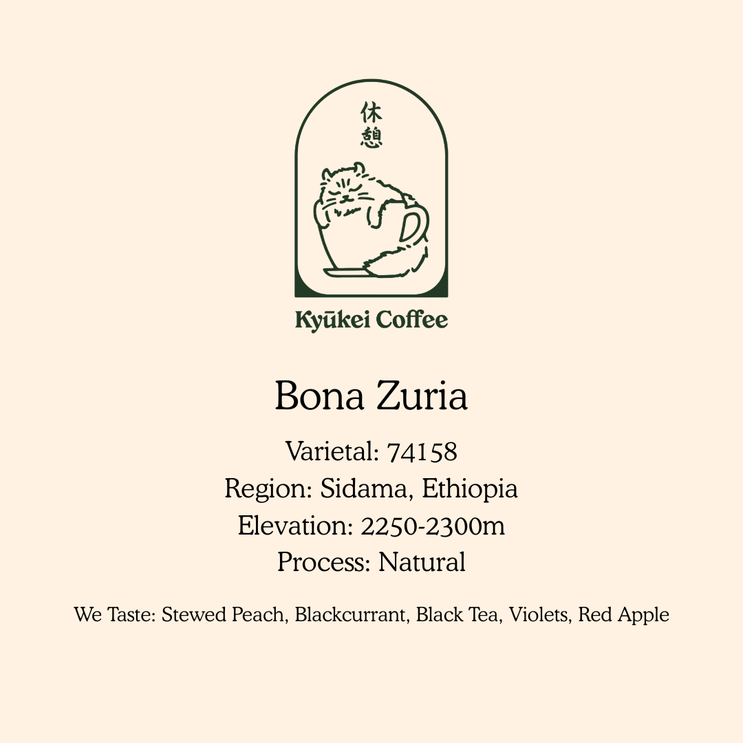 Bona Zuria