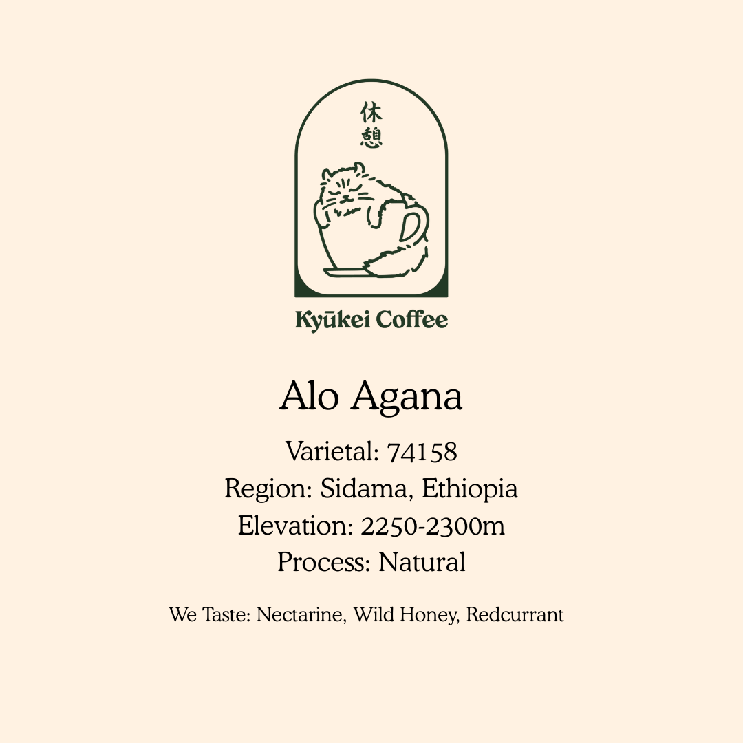 Alo Agana