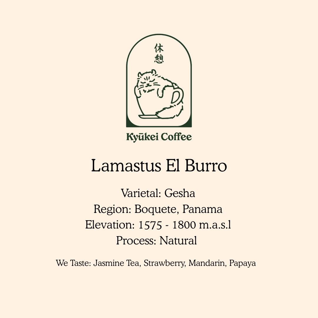 El Burro Gesha Natural