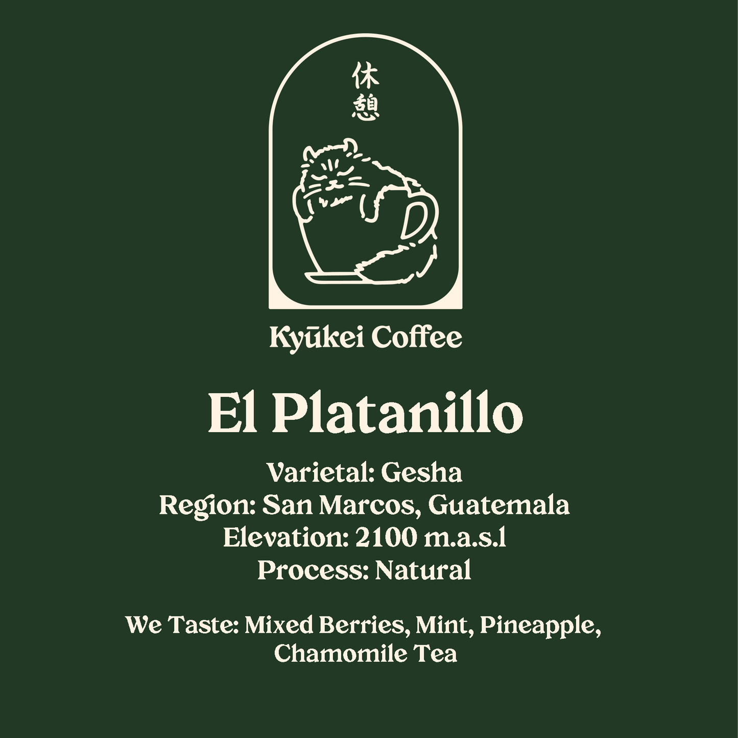 Guatemala El Platanillo