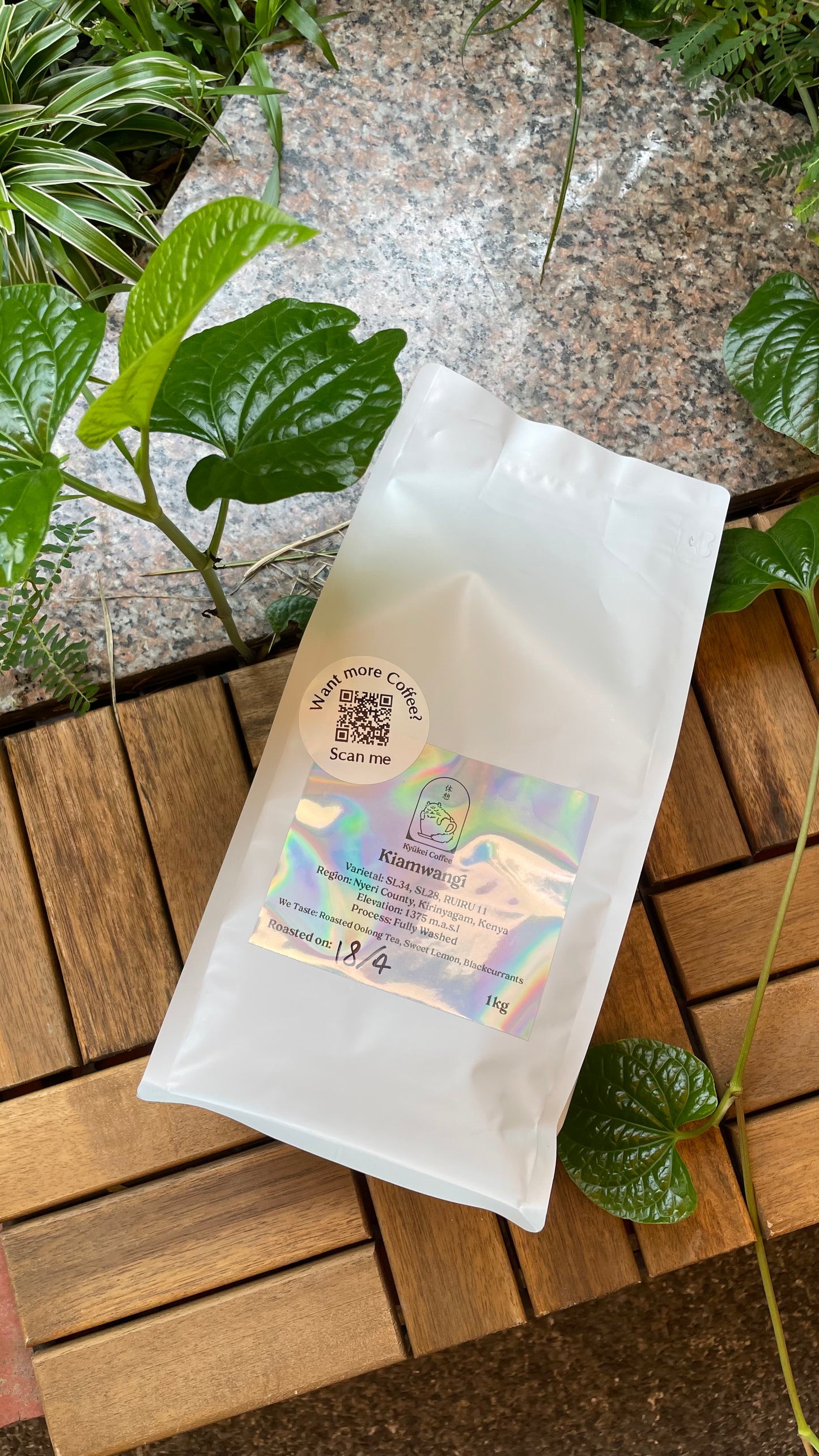 A Coffee Lover's Dream - Coffee Subscription (1kg)