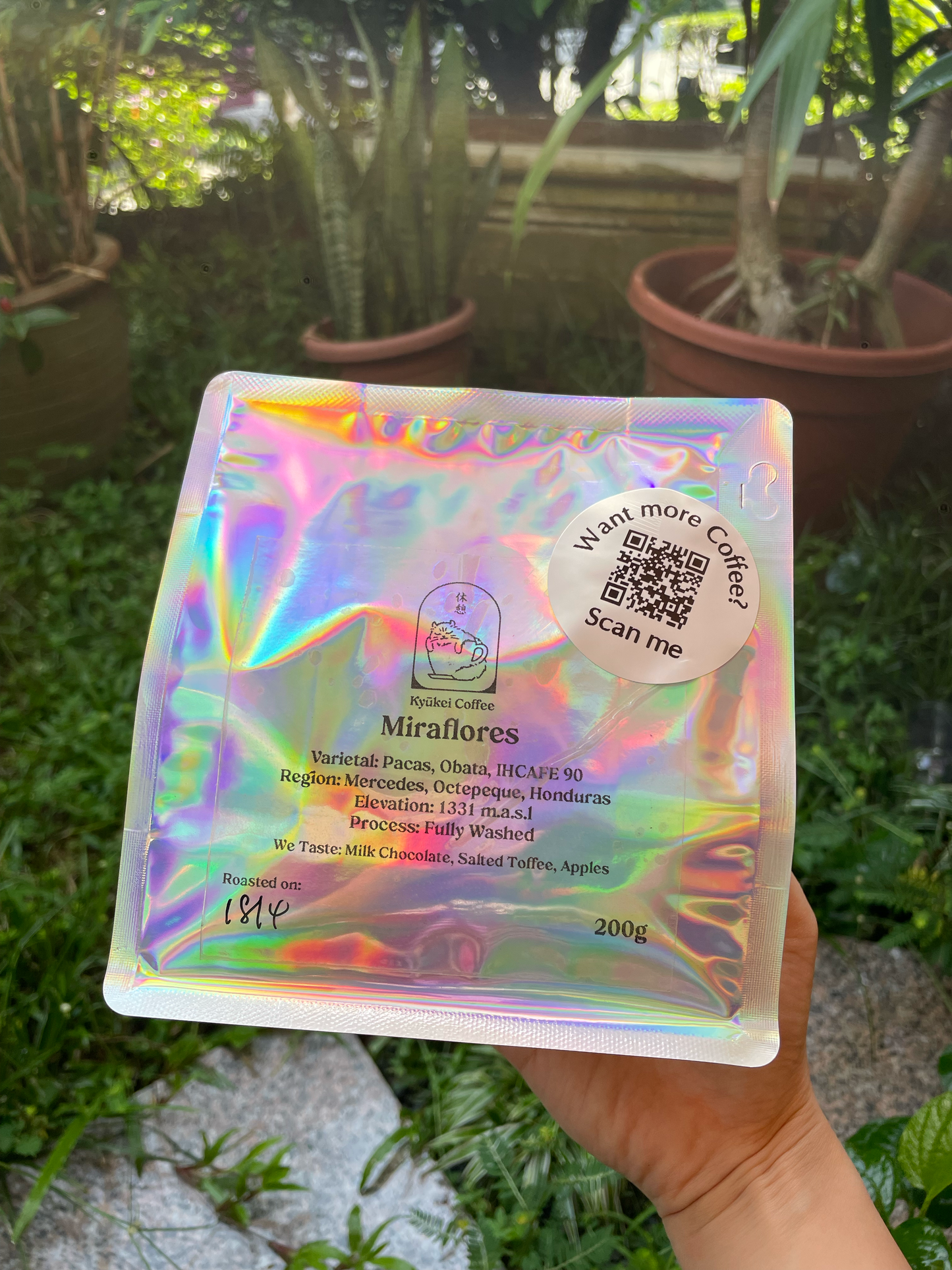 The Solo Sipper - Coffee Subscription (200g)