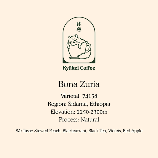 Bona Zuria