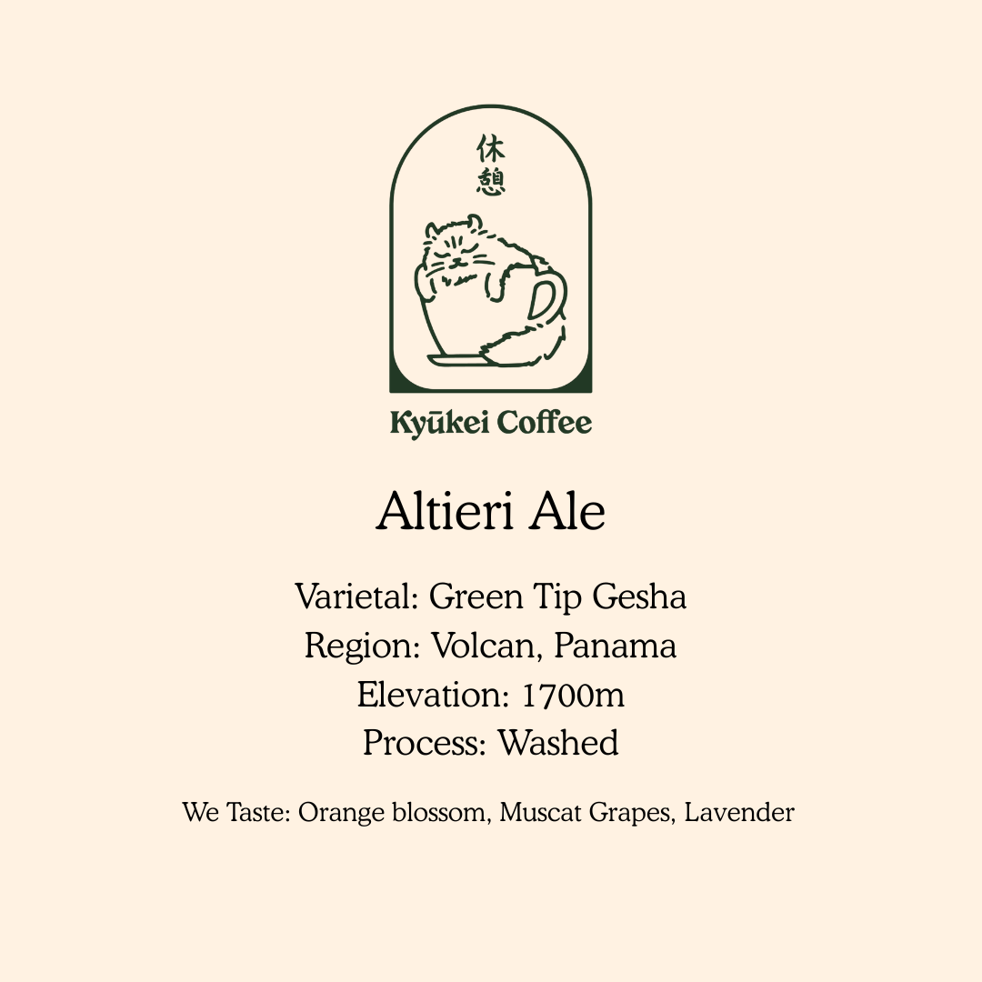 Altieri Ale
