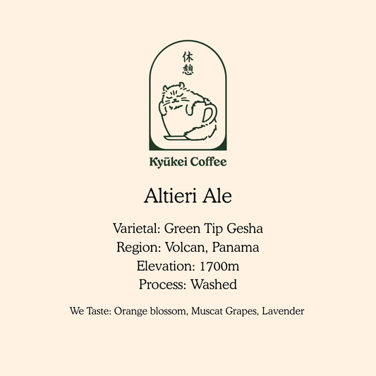 Altieri Ale
