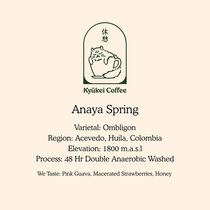 Anaya Spring