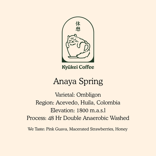 Anaya Spring