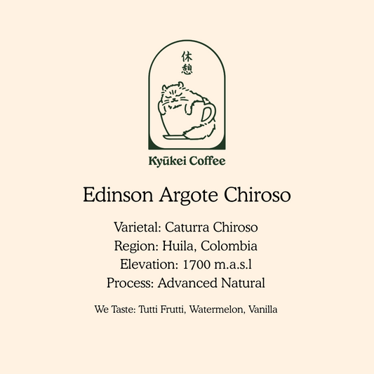 Edinson Argote Chiroso