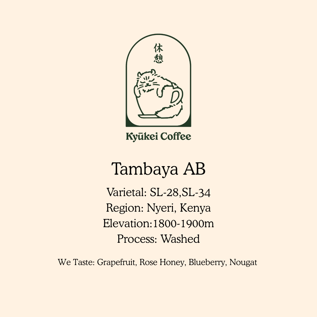 Tambaya AB