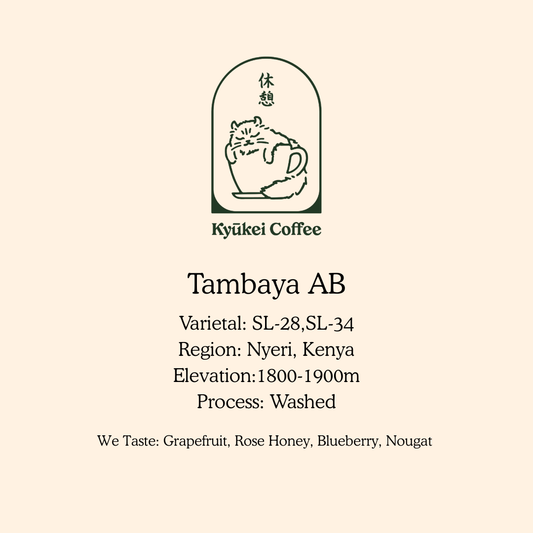Tambaya AB
