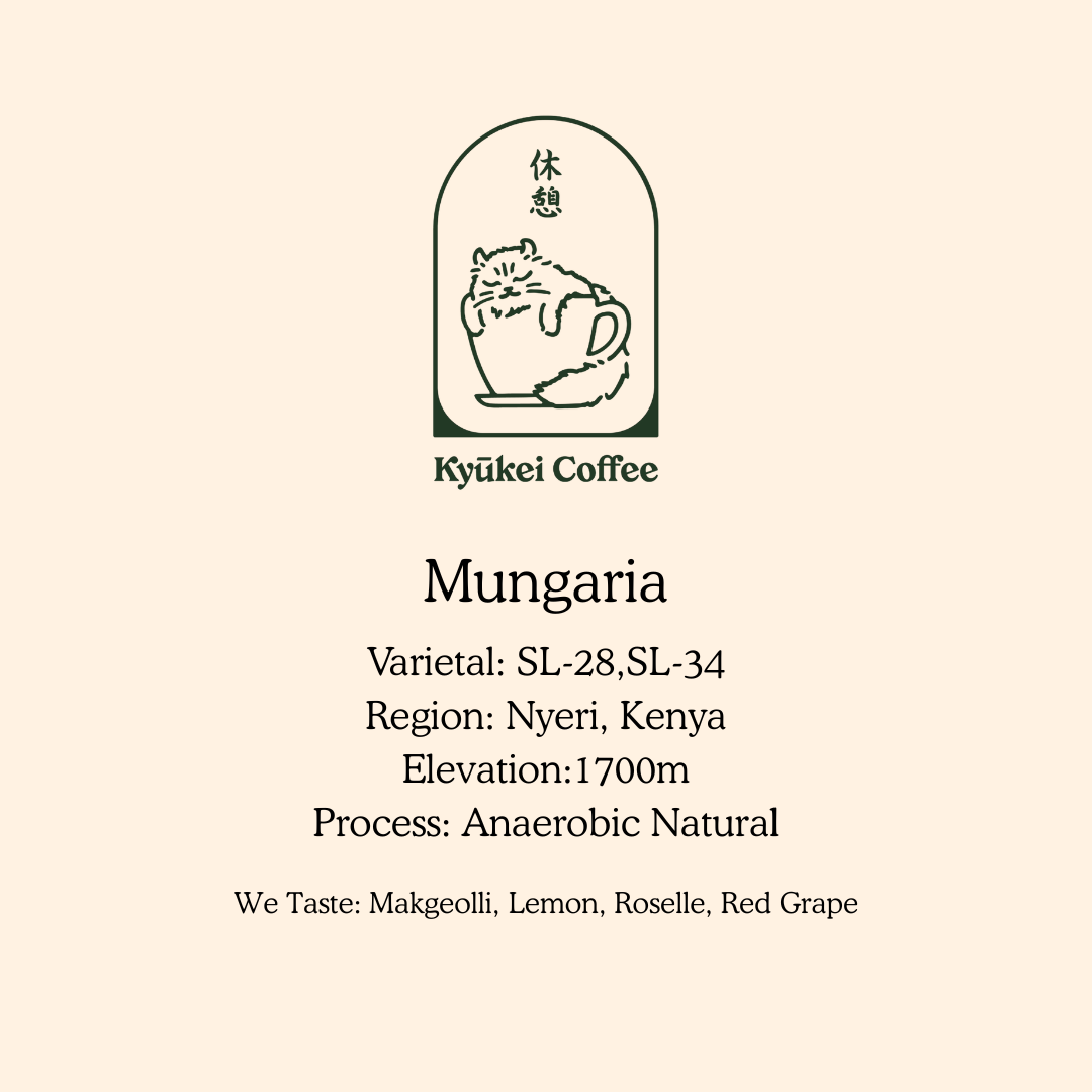 Mungaria