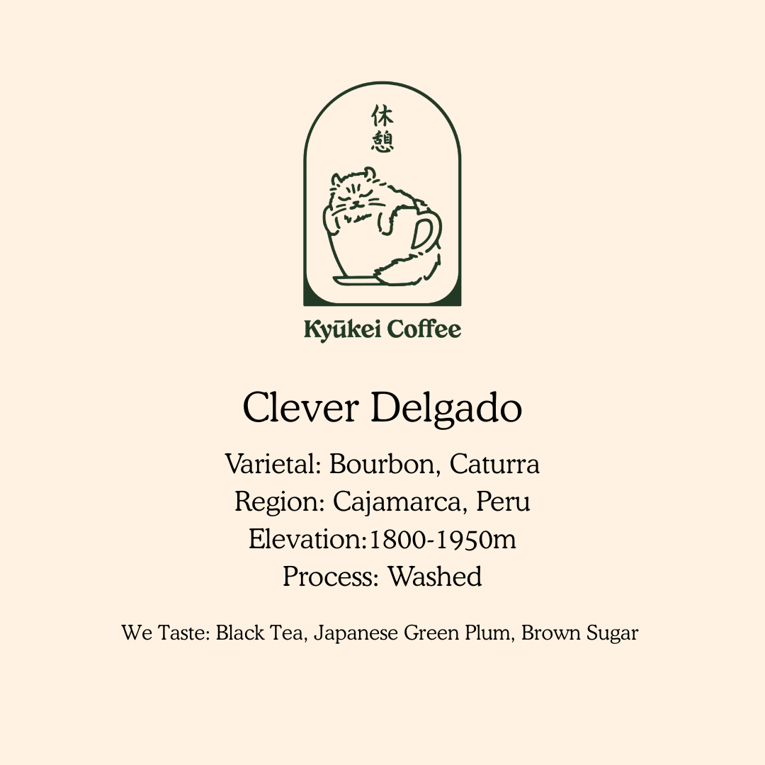Clever Delgado