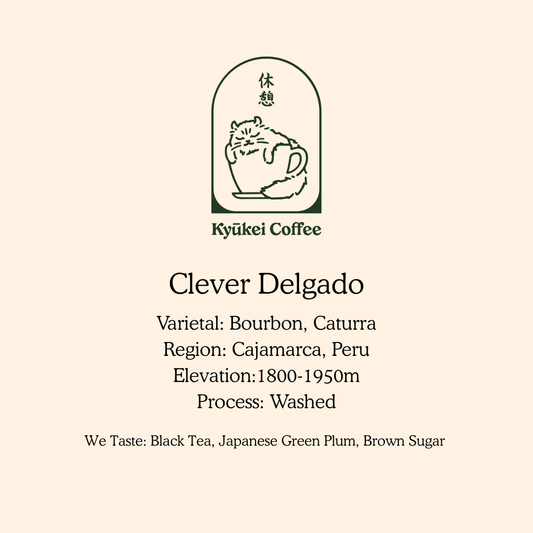 Clever Delgado