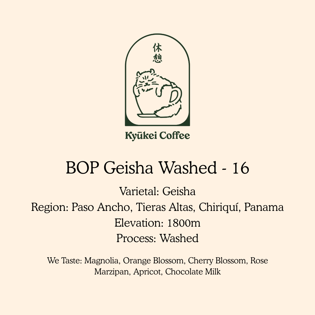 Best of Panama GW-16 (Ultralight)