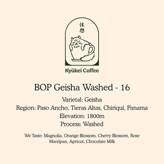 Best of Panama GW-16 (Ultralight)