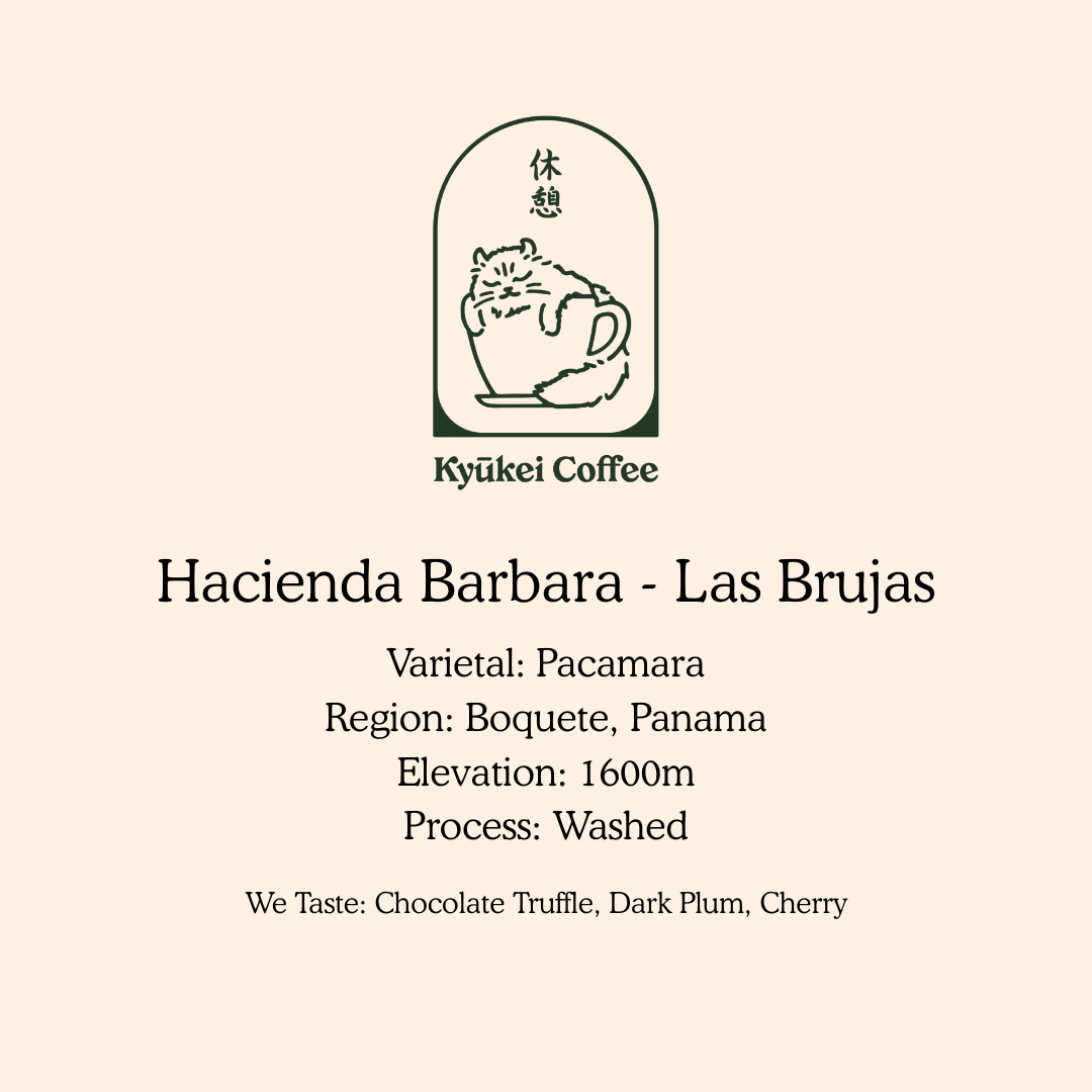 Hacienda Barbara Pacamara