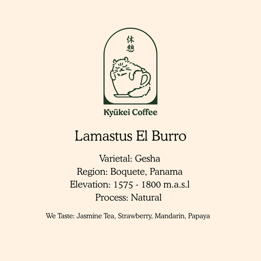 El Burro Gesha Natural