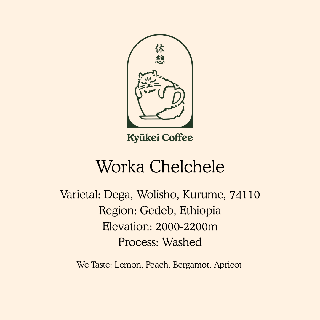 Worka Chelchele